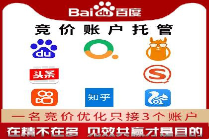 某电商平台的SEM推广策略全解析